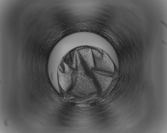 X0000094770417200712141602