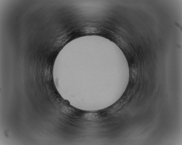 X0000094770422200712141602