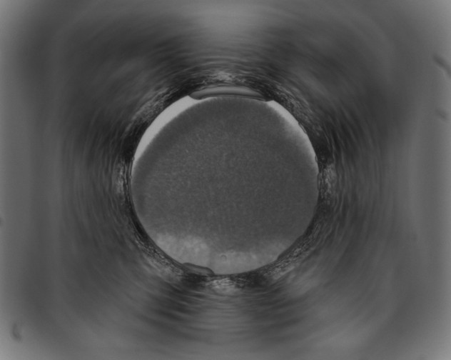 X0000094770423200712141602