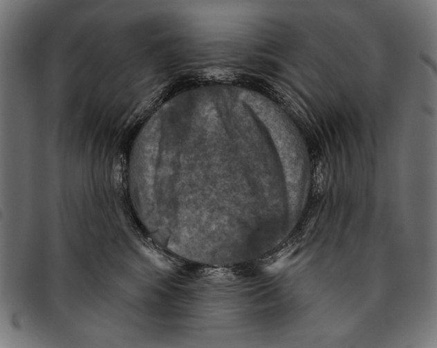 X0000094770424200712141602