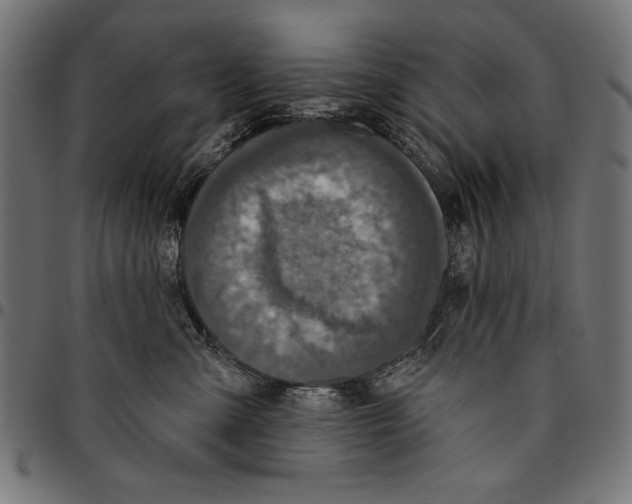 X0000094770427200712141602