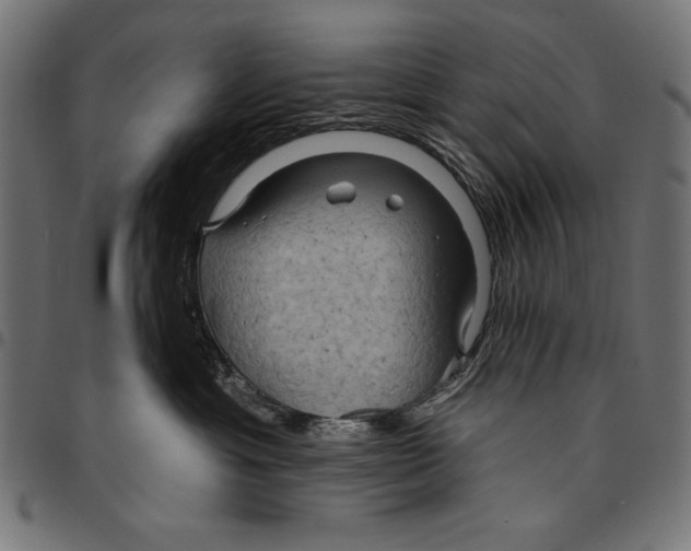 X0000094770429200712141602