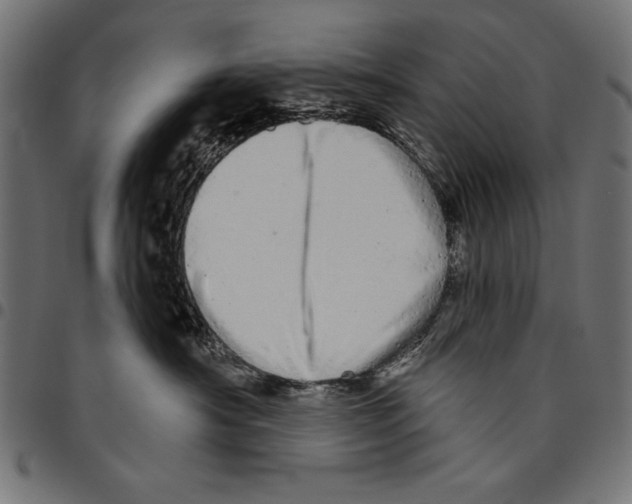 X0000094770430200712141602