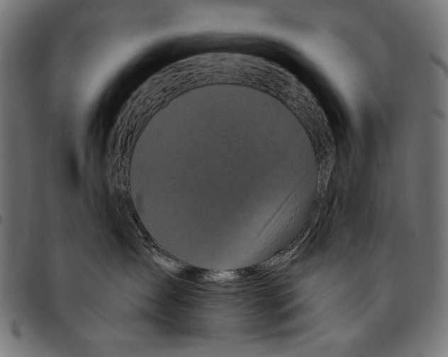 X0000094770431200712141602