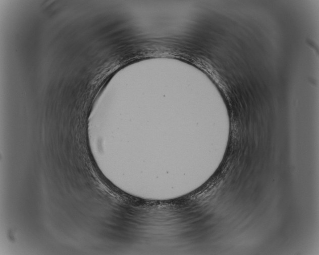 X0000094770433200712141601