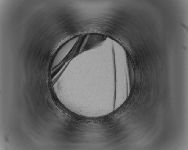 X0000094770434200712141601