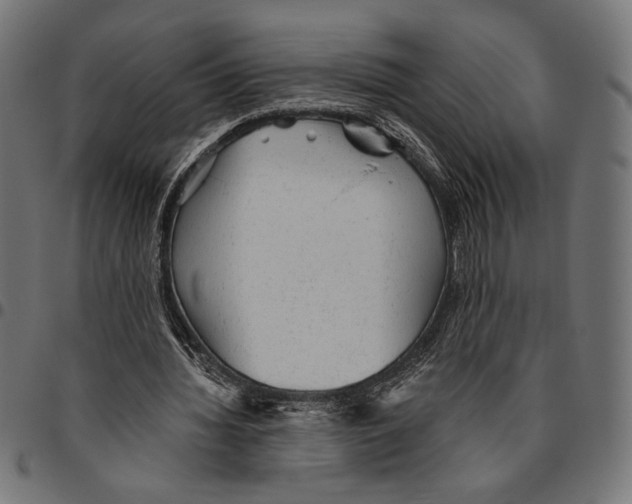 X0000094770436200712141601