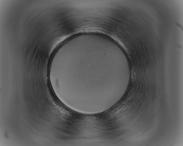 X0000094770438200712141601