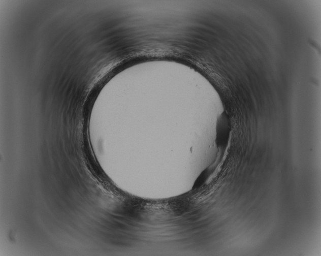 X0000094770440200712141601