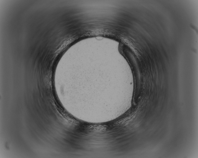 X0000094770443200712141601