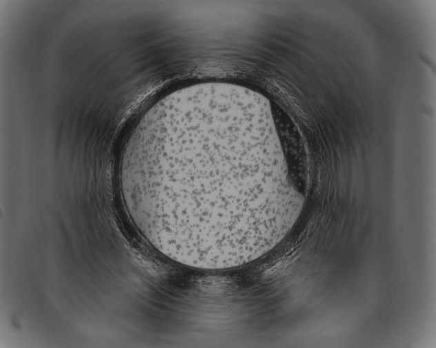 X0000094770444200712141601