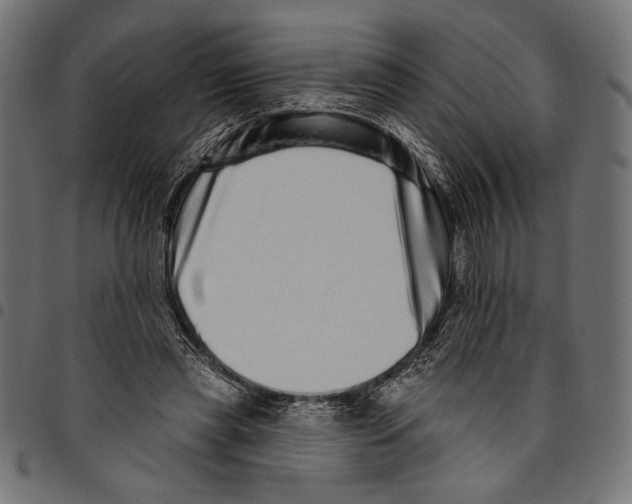 X0000094770445200712141601