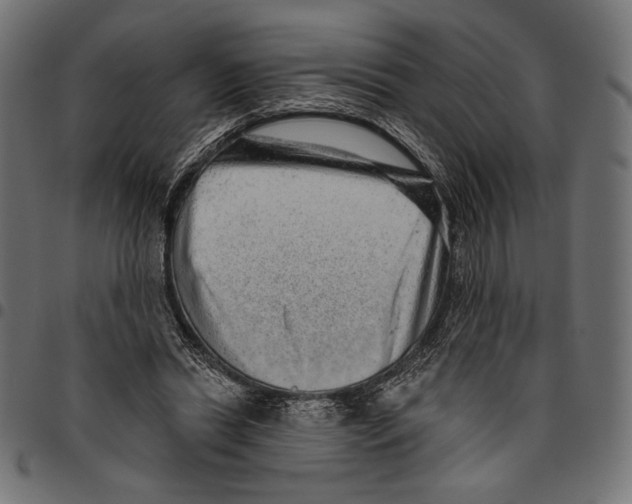 X0000094770446200712141601