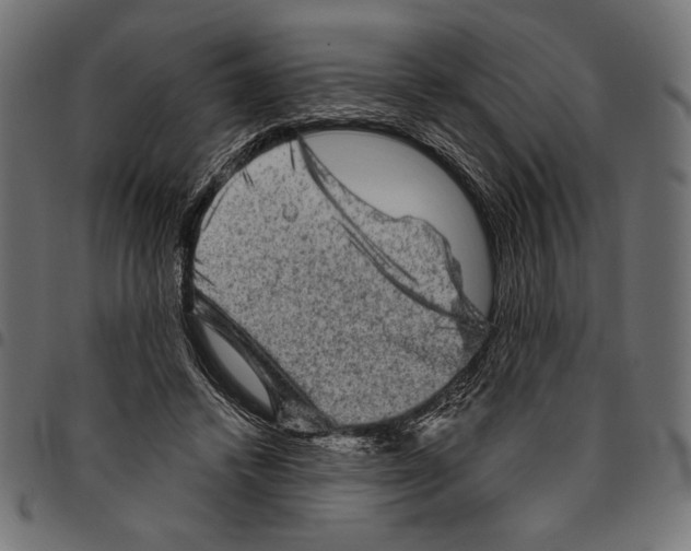 X0000094770448200712141601