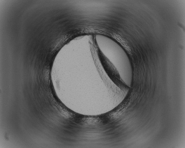 X0000094770449200712141601