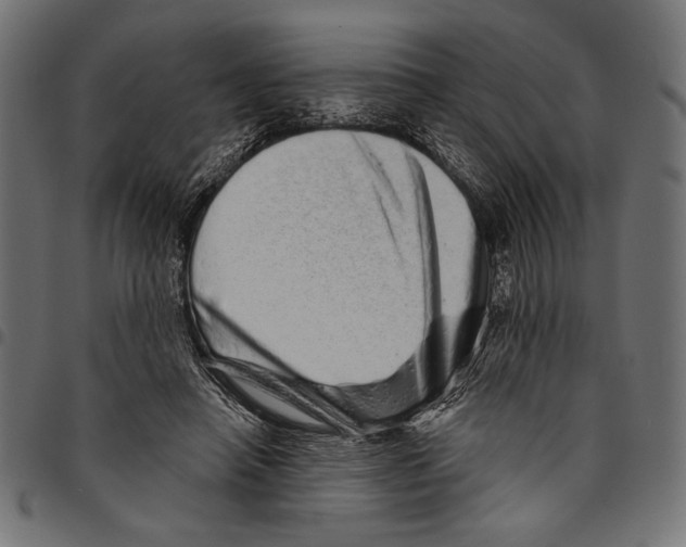 X0000094770450200712141601