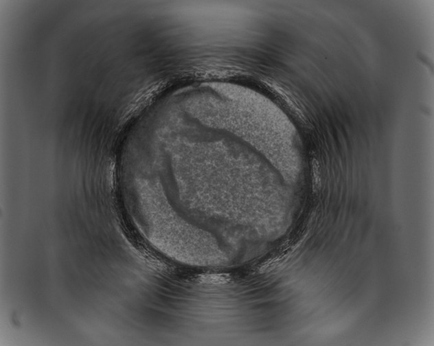 X0000094770451200712141601