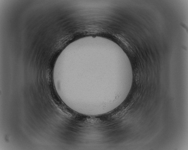 X0000094770455200712141601