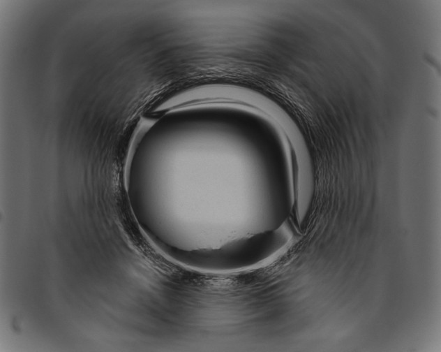 X0000094770456200712141601