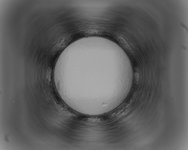 X0000094770458200712141601