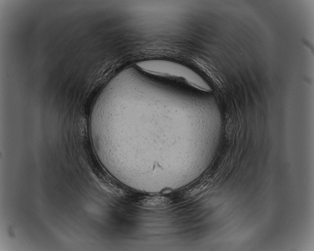 X0000094770459200712141601