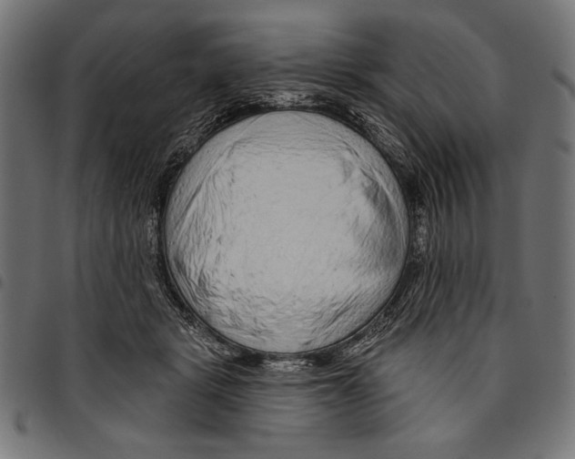 X0000094770461200712141601