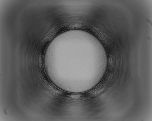 X0000094770462200712141601