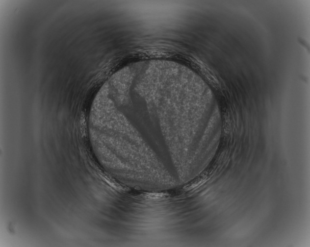 X0000094770465200712141601