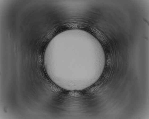 X0000094770469200712141602