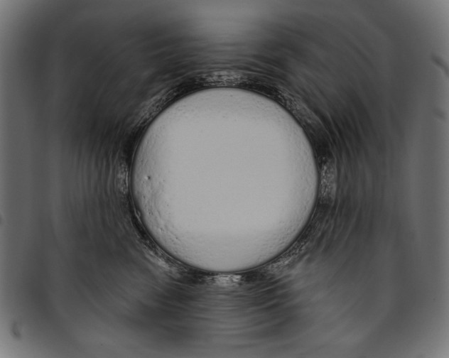 X0000094770474200712141602