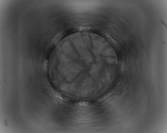 X0000094770475200712141602