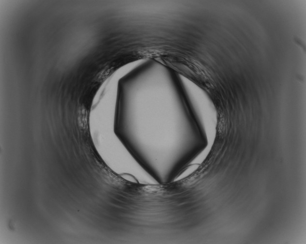 X0000094770477200712141602