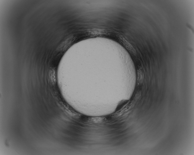 X0000094770479200712141602