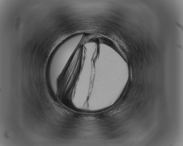 X0000094770483200712141601