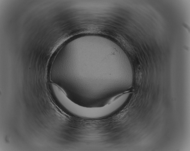 X0000094770484200712141601