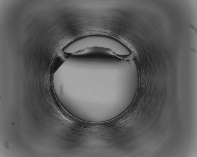 X0000094770485200712141601