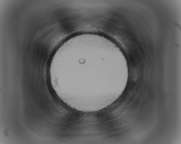 X0000094770487200712141601