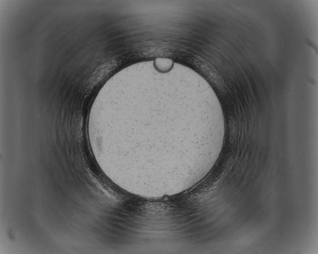 X0000094770490200712141601