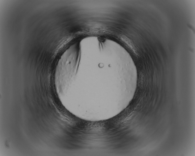 X0000094770491200712141601