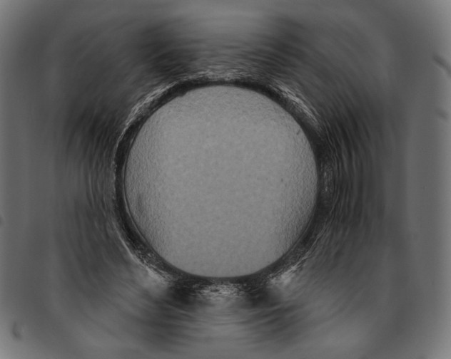 X0000094770492200712141601