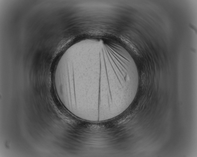 X0000094770494200712141601