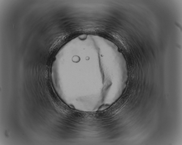 X0000094770495200712141601