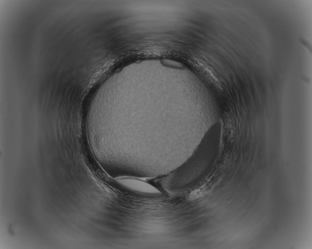 X0000094770496200712141601