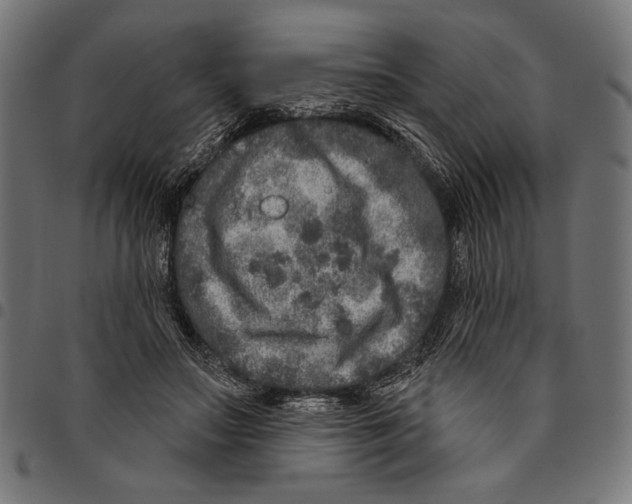 X0000094770499200712141601