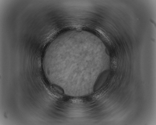 X0000094770500200712141601