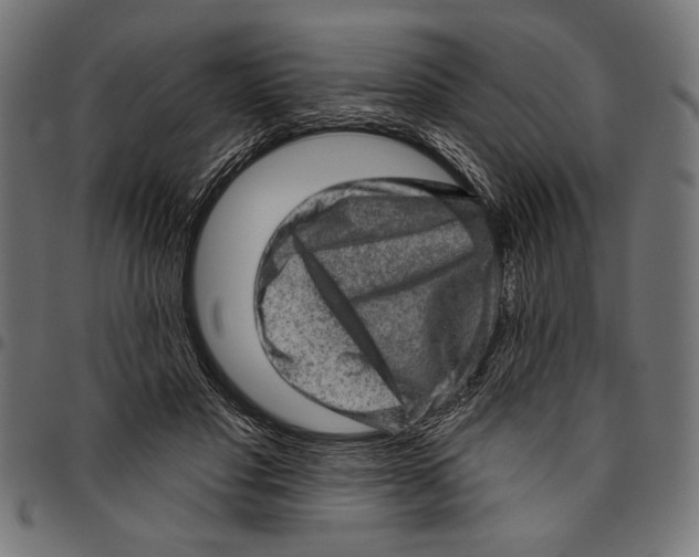 X0000094770501200712141601