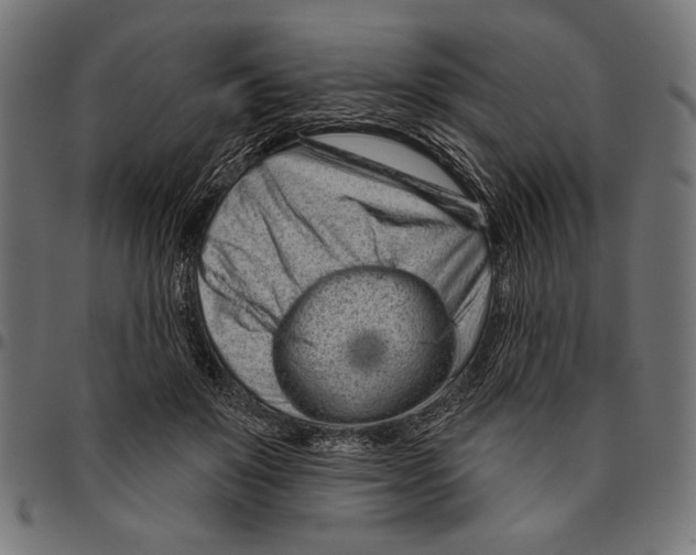 X0000094770503200712141601