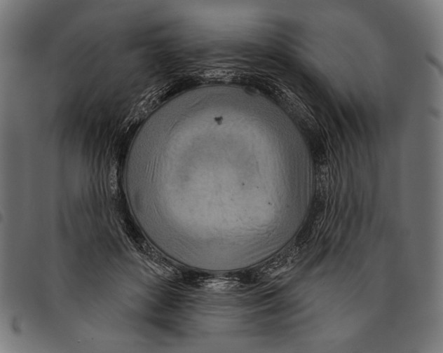 X0000094770504200712141601