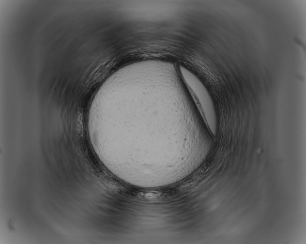 X0000094770506200712141601