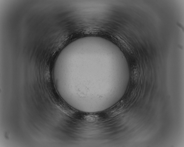 X0000094770508200712141601